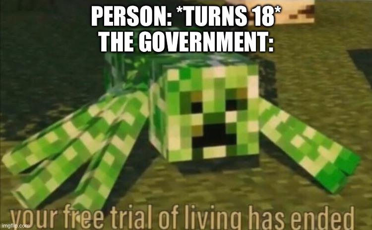 hahahahahaha taxes I’M GOING INSANE | PERSON: *TURNS 18*
THE GOVERNMENT: | image tagged in your free trial of living has ended,taxes | made w/ Imgflip meme maker