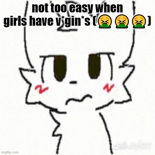 Boy Kisser | not too easy when girls have v*gin*s (???) | image tagged in boy kisser | made w/ Imgflip meme maker