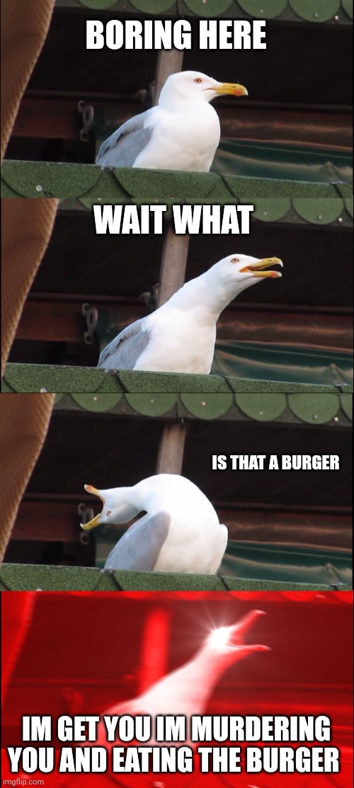 He saw my burger ? | BORING HERE; WAIT WHAT; IS THAT A BURGER; IM GET YOU IM MURDERING YOU AND EATING THE BURGER | image tagged in memes,inhaling seagull | made w/ Imgflip meme maker