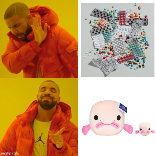 Drake Hotline Bling Meme | image tagged in memes,drake hotline bling | made w/ Imgflip meme maker