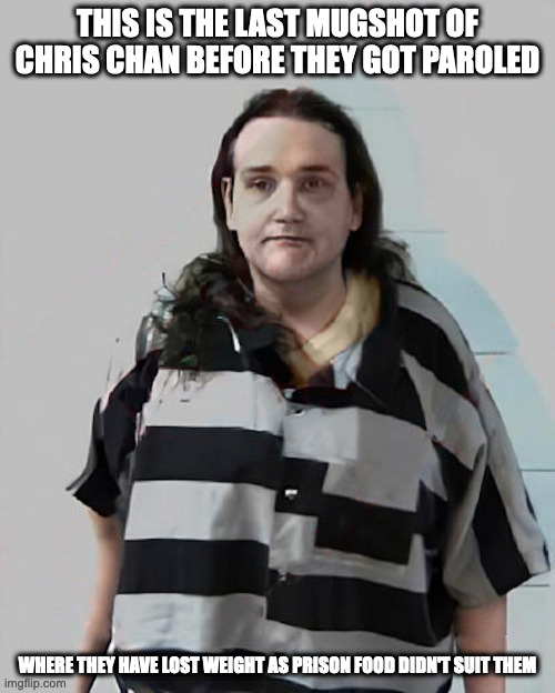 Chris Chan's Last Mugshot | THIS IS THE LAST MUGSHOT OF CHRIS CHAN BEFORE THEY GOT PAROLED; WHERE THEY HAVE LOST WEIGHT AS PRISON FOOD DIDN'T SUIT THEM | image tagged in chris chan,memes | made w/ Imgflip meme maker