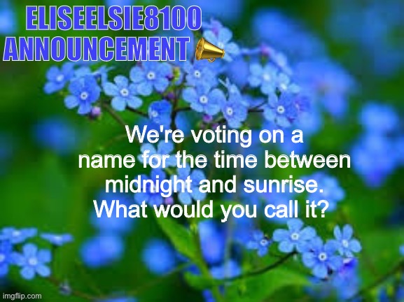 EliseElsie8100 Announcement | We're voting on a name for the time between midnight and sunrise. What would you call it? | image tagged in eliseelsie8100 announcement | made w/ Imgflip meme maker