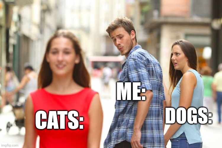 Distracted Boyfriend | ME:; DOGS:; CATS: | image tagged in memes,distracted boyfriend | made w/ Imgflip meme maker