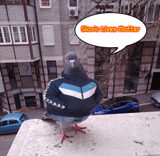 pigeon slavic pigeon | Slavic Lives Matter | image tagged in pigeon slavic pigeon,slavic | made w/ Imgflip meme maker