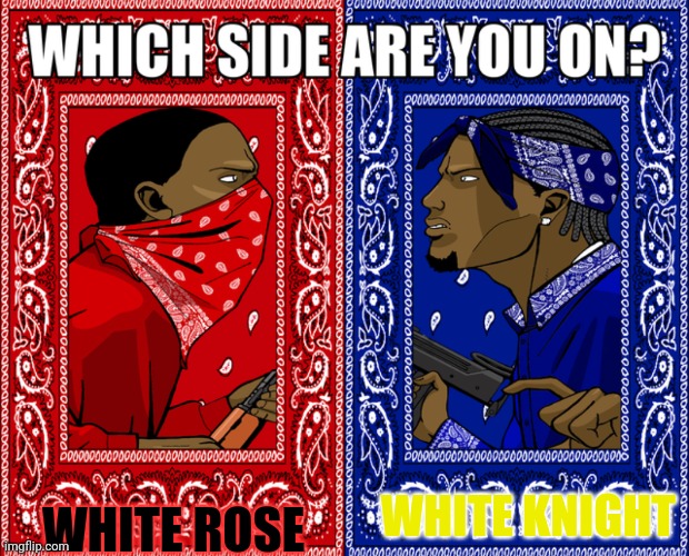 Which Side Are You On? | WHITE KNIGHT; WHITE ROSE | image tagged in which side are you on | made w/ Imgflip meme maker