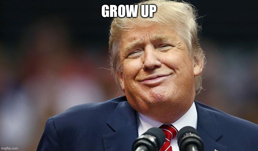 Donald Trump Grow Up | GROW UP | image tagged in donald trump grow up | made w/ Imgflip meme maker