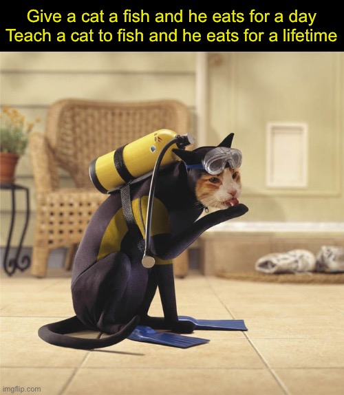Seems a bit fishy to me. | Give a cat a fish and he eats for a day
Teach a cat to fish and he eats for a lifetime | image tagged in funny memes,funny cat memes,scuba | made w/ Imgflip meme maker