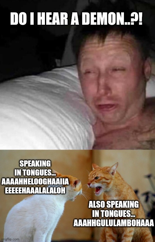 The streets | DO I HEAR A DEMON..?! SPEAKING IN TONGUES...
AAAAHHELOOGHAAIIA
EEEEEHAAALALALOH; ALSO SPEAKING IN TONGUES...
AAAHHGULULAMBOHAAA | image tagged in sleepy guy,cats screaming at eachother,cat screaming at eachother meme,scary cat sounds meme,wake up cat sound meme | made w/ Imgflip meme maker
