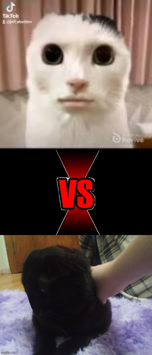 image tagged in world cuuuuuuuuuuuuuuuuuuuu,versus | made w/ Imgflip meme maker