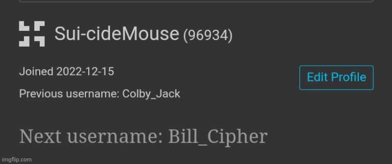 Found a way past the swastika ban | made w/ Imgflip meme maker