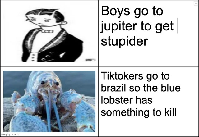 image tagged in memes | made w/ Imgflip meme maker