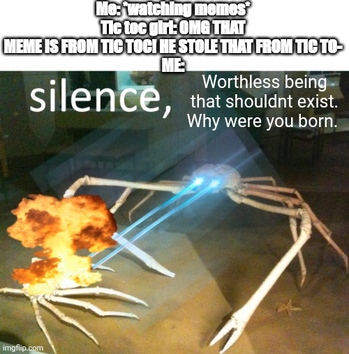 Silence Crab | Me: *watching memes*
Tic toc girl: OMG THAT MEME IS FROM TIC TOC! HE STOLE THAT FROM TIC TO-
ME:; Worthless being that shouldnt exist. Why were you born. | image tagged in silence crab | made w/ Imgflip meme maker