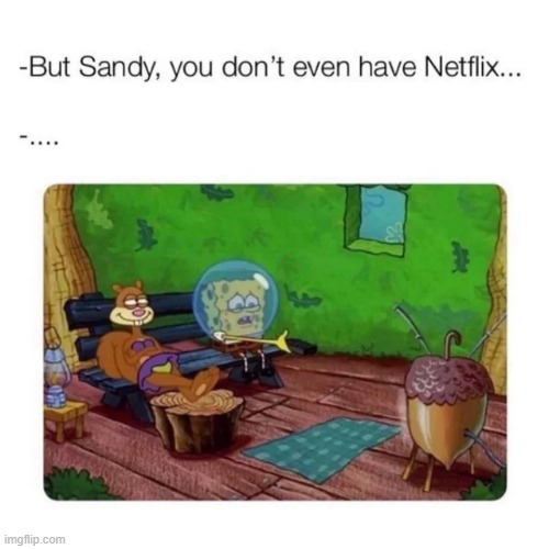 image tagged in memes | made w/ Imgflip meme maker