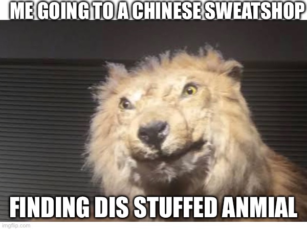 Wow | ME GOING TO A CHINESE SWEATSHOP; FINDING DIS STUFFED ANMIAL | image tagged in woman yelling at cat | made w/ Imgflip meme maker