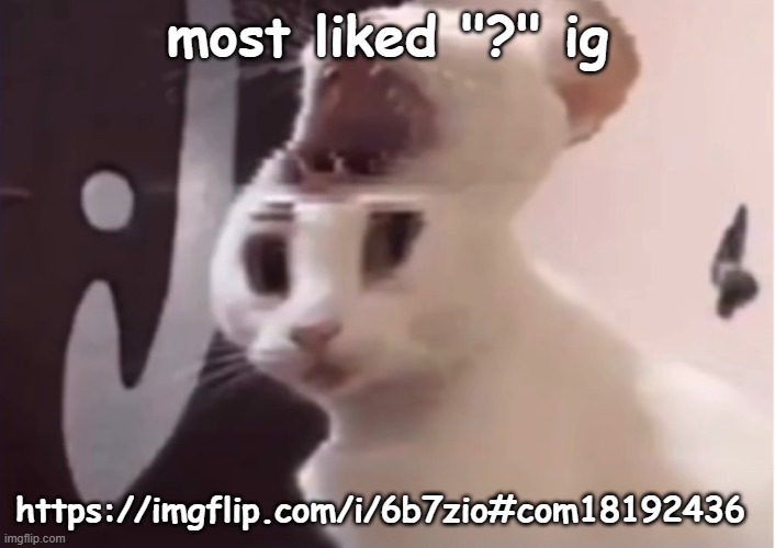 Shocked cat | most liked "?" ig; https://imgflip.com/i/6b7zio#com18192436 | image tagged in shocked cat | made w/ Imgflip meme maker
