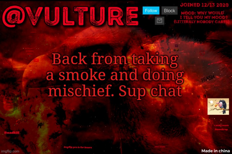 Vultures template that he uses when he wants to say something | Back from taking a smoke and doing mischief. Sup chat | image tagged in vultures template that he uses when he wants to say something | made w/ Imgflip meme maker