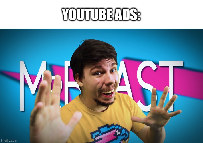 Cringy YouTube ads | YOUTUBE ADS: | image tagged in fake mrbeast,memes | made w/ Imgflip meme maker