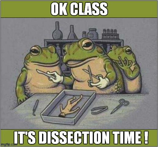 Somewhere In A Parallel Universe | OK CLASS; IT'S DISSECTION TIME ! | image tagged in parallel universe,frogs,dissection,dark humour | made w/ Imgflip meme maker