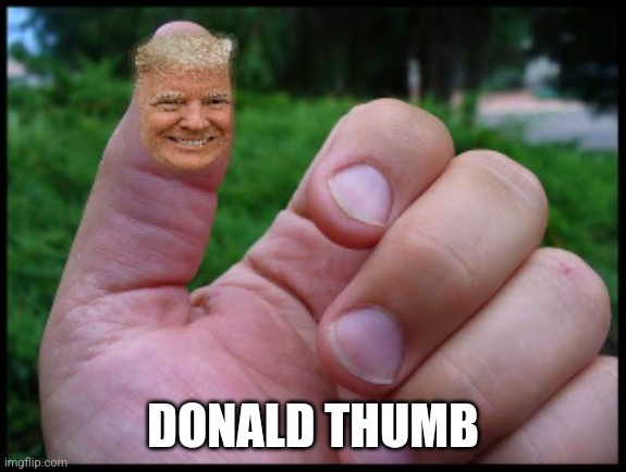 DONALD THUMB | made w/ Imgflip meme maker