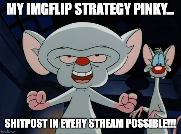 I Mean, Really....... | MY IMGFLIP STRATEGY PINKY... SHITPOST IN EVERY STREAM POSSIBLE!!! | image tagged in pinky and the brain | made w/ Imgflip meme maker