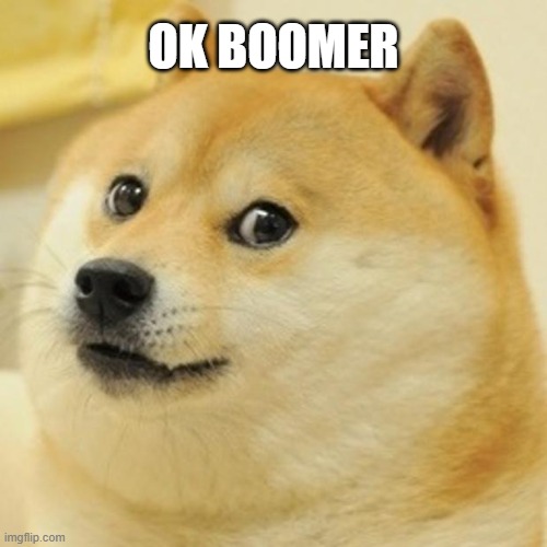 Remember This? | OK BOOMER | image tagged in memes,doge,ok boomer,lol,funny,meme | made w/ Imgflip meme maker