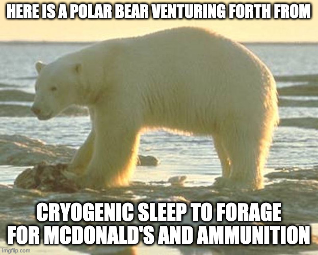 Polar Bear | HERE IS A POLAR BEAR VENTURING FORTH FROM; CRYOGENIC SLEEP TO FORAGE FOR MCDONALD'S AND AMMUNITION | image tagged in polar bear,memes | made w/ Imgflip meme maker