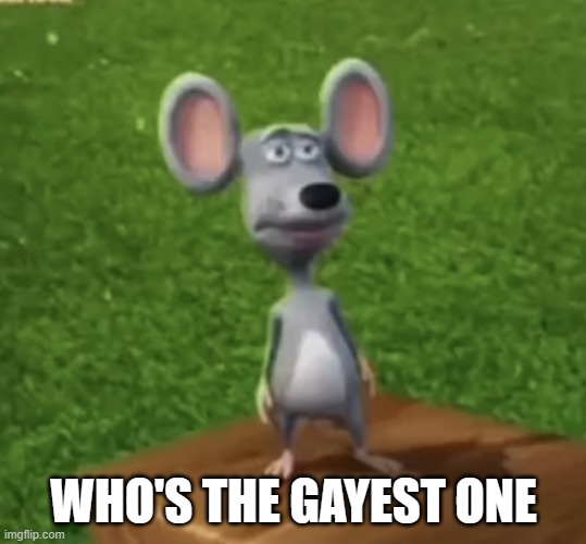 Wtf did I just here right now | WHO'S THE GAYEST ONE | image tagged in wtf did i just here right now | made w/ Imgflip meme maker