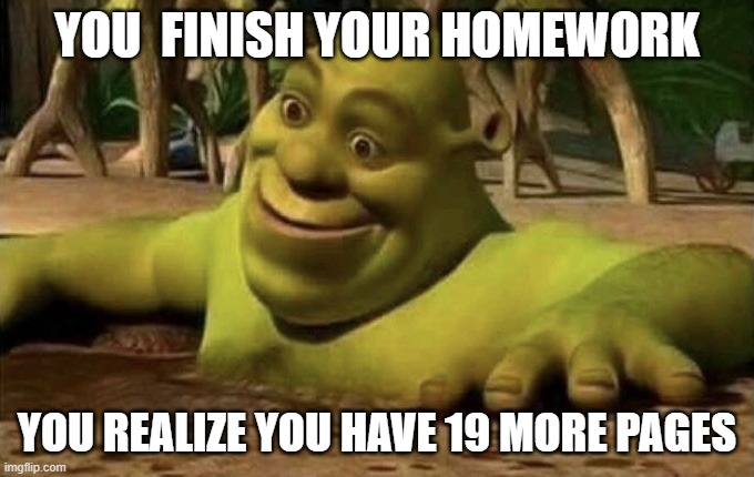 Shocked Shrek | YOU  FINISH YOUR HOMEWORK; YOU REALIZE YOU HAVE 19 MORE PAGES | image tagged in shocked shrek | made w/ Imgflip meme maker