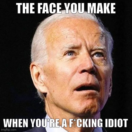 Idiot. | THE FACE YOU MAKE; WHEN YOU'RE A F*CKING IDIOT | image tagged in biden | made w/ Imgflip meme maker