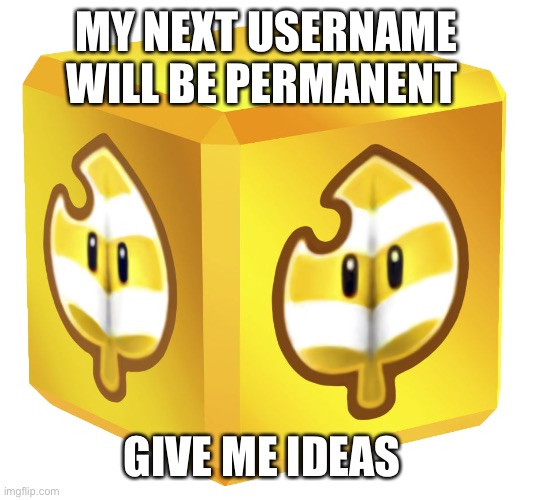 Block | MY NEXT USERNAME WILL BE PERMANENT; GIVE ME IDEAS | image tagged in block | made w/ Imgflip meme maker