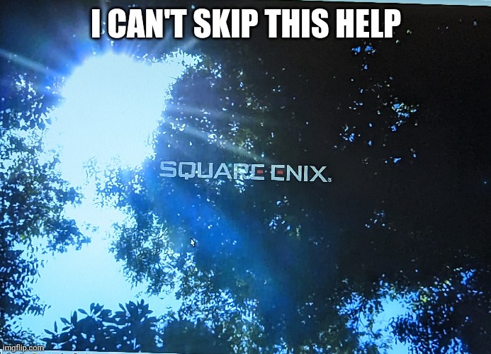 Help | I CAN'T SKIP THIS HELP | image tagged in help me | made w/ Imgflip meme maker