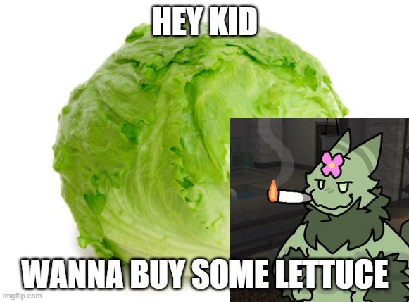 hey kid. wanna buy some lettuce | HEY KID; WANNA BUY SOME LETTUCE | image tagged in lettuce,plant,buy | made w/ Imgflip meme maker
