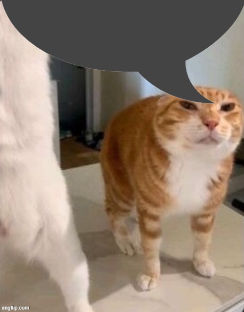Schizophrenic Cat.pdf | image tagged in schizophrenic cat pdf | made w/ Imgflip meme maker