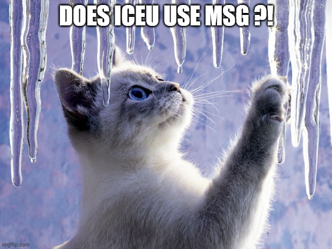 @iceu @iceu | DOES ICEU USE MSG ?! | image tagged in icicles | made w/ Imgflip meme maker