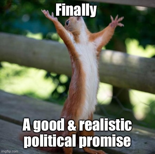 finally | Finally A good & realistic political promise | image tagged in finally | made w/ Imgflip meme maker