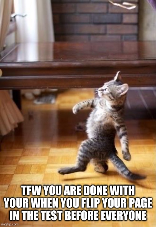 Cool Cat Stroll Meme | TFW YOU ARE DONE WITH YOUR WHEN YOU FLIP YOUR PAGE IN THE TEST BEFORE EVERYONE | image tagged in memes,cool cat stroll | made w/ Imgflip meme maker