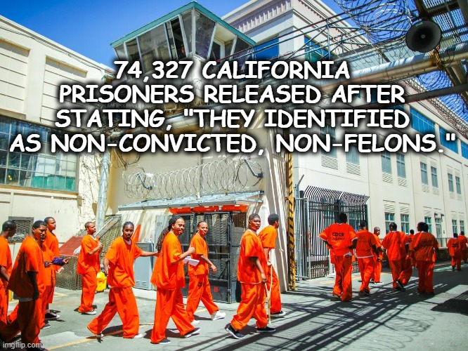 Awakenings VII: All the Way Woke | 74,327 CALIFORNIA PRISONERS RELEASED AFTER STATING, "THEY IDENTIFIED AS NON-CONVICTED, NON-FELONS." | image tagged in memes,funny memes,funny,mxm,politics | made w/ Imgflip meme maker