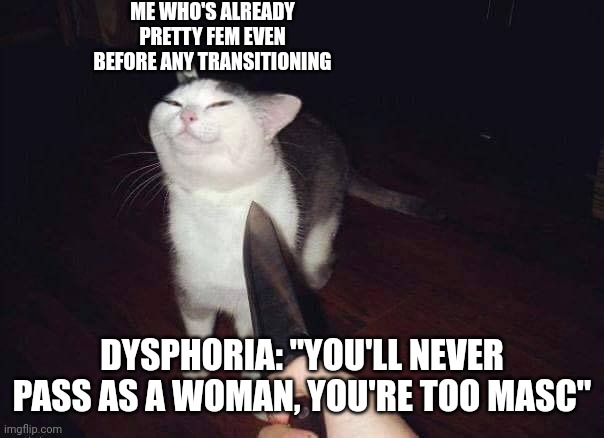 Smug cat knife | ME WHO'S ALREADY PRETTY FEM EVEN BEFORE ANY TRANSITIONING; DYSPHORIA: "YOU'LL NEVER PASS AS A WOMAN, YOU'RE TOO MASC" | image tagged in smug cat knife,egg_irl | made w/ Imgflip meme maker