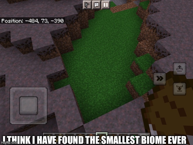 Tell me if I found a new world record biome in the comments | I THINK I HAVE FOUND THE SMALLEST BIOME EVER | image tagged in minecraft,minecraft story mode,guinness world record,world record,memes,cool memes | made w/ Imgflip meme maker