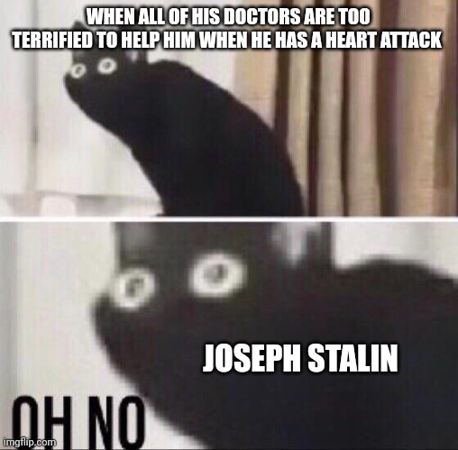 All his doctors were too afraid | WHEN ALL OF HIS DOCTORS ARE TOO TERRIFIED TO HELP HIM WHEN HE HAS A HEART ATTACK; JOSEPH STALIN | image tagged in oh no cat | made w/ Imgflip meme maker