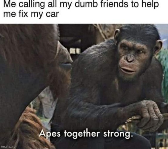 image tagged in repost | made w/ Imgflip meme maker