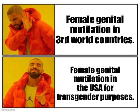 No Yes | Female genital mutilation in 3rd world countries. Female genital mutilation in the USA for transgender purposes. | image tagged in no - yes | made w/ Imgflip meme maker