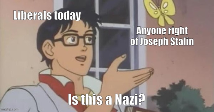 Liberals today | Liberals today; Anyone right of Joseph Stalin; Is this a Nazi? | image tagged in is this a pigeon,liberals,leftists,woke | made w/ Imgflip meme maker