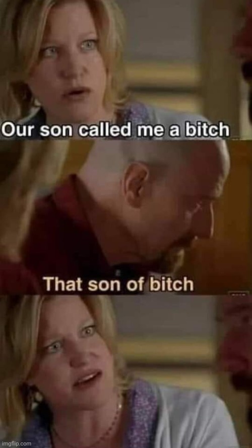 image tagged in memes | made w/ Imgflip meme maker