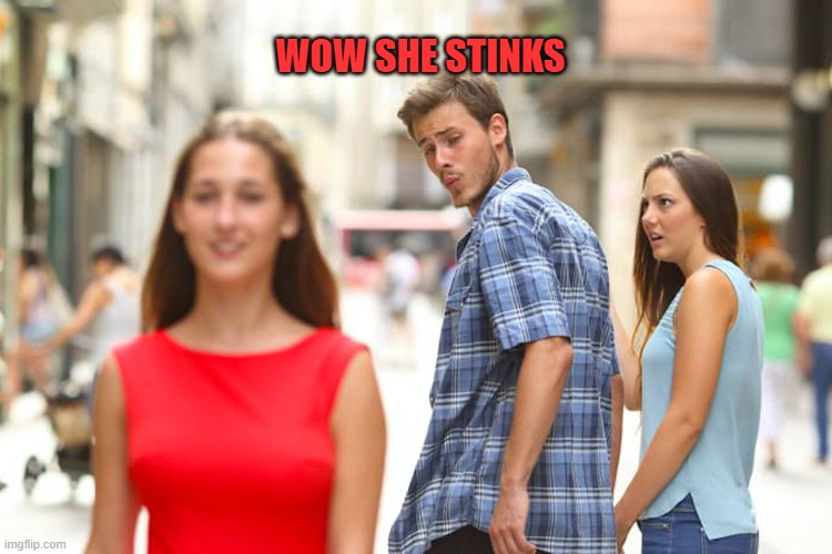 Distracted Boyfriend | WOW SHE STINKS | image tagged in memes,distracted boyfriend | made w/ Imgflip meme maker
