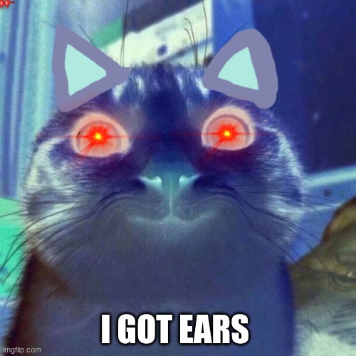 Smiling Cat Meme | I GOT EARS | image tagged in memes,smiling cat | made w/ Imgflip meme maker