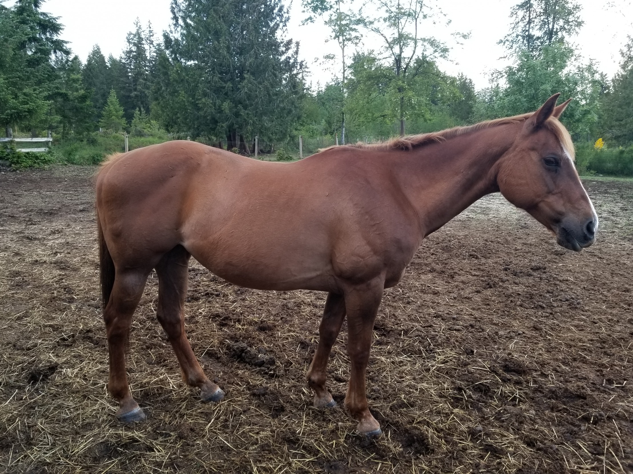 Expensive hobbies Blank Meme Template