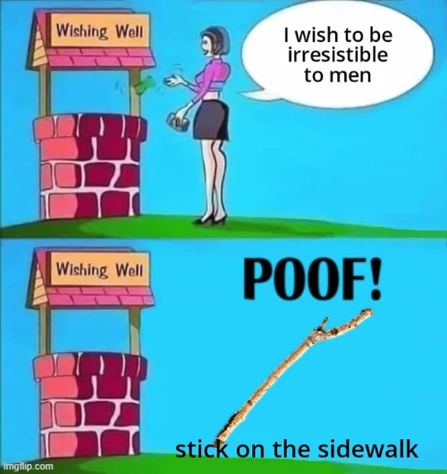 image tagged in memes | made w/ Imgflip meme maker