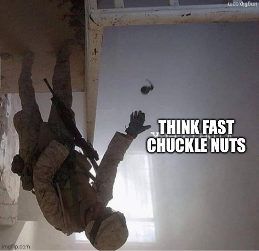 THINK FAST CHUCKLE NUTS | image tagged in think fast | made w/ Imgflip meme maker