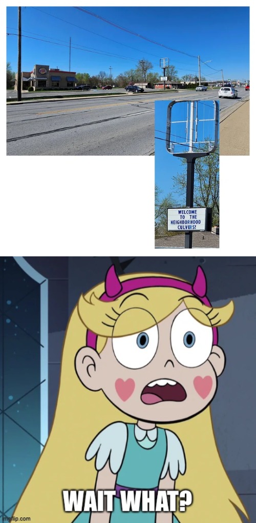 How?! | image tagged in star butterfly wait what,you had one job,star vs the forces of evil,memes | made w/ Imgflip meme maker